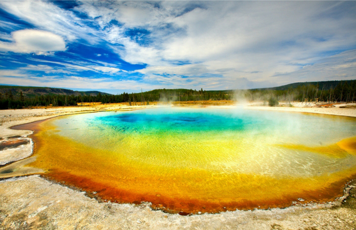 In Hot Water with Extremophiles