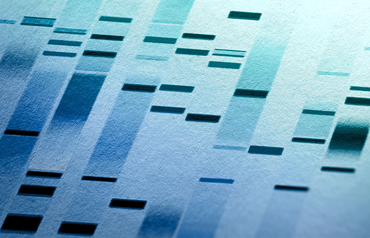 NGS vs. Sanger Sequencing